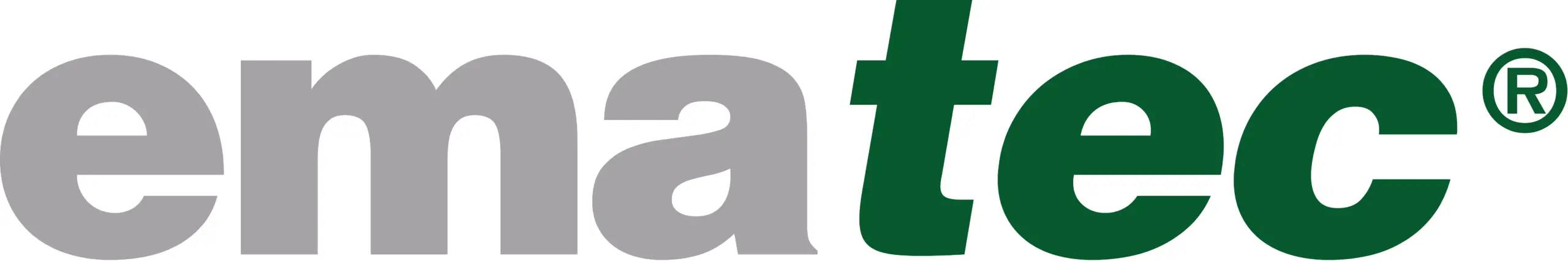 Ematec logo grau gruen